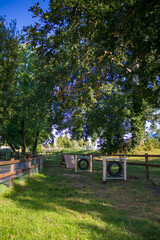 Dog park with various agility equipment including ramps, tunnels and hurdles. The park is located outdoors among trees in Deventer, Netherlands. High quality photo
