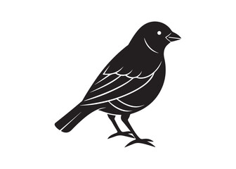 Canary bird black silhouette, perched songbird vector art isolated on white.