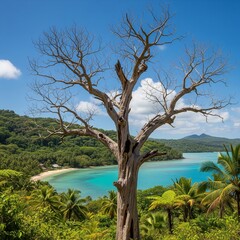 dry tree beach background