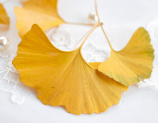 Naklejka premium Yellow Ginkgo Leaves on Marble Background — Autumn Elegant Surface