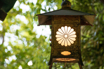 wooden bird feeder