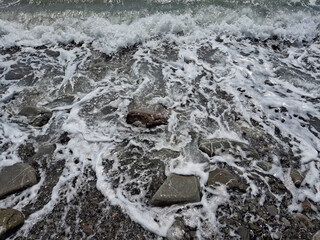 monochrome, close-up view of the waves and surf of the sea on the shore