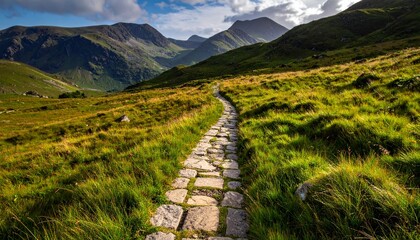 Fototapeta premium Winding Stone Path Through Green Grass Towards Distant Mountains