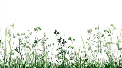 Minimalist tall grass and tiny wildflowers on white background with clean lines and symmetrical composition, high resolution nature illustration in modern flat design style.
