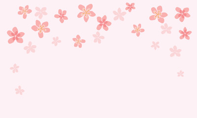 Cherry blossom Sakura fklower on pink background vector.