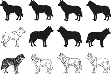 Wolf vector illustration set, silhouette and line art wolves, wild animal design, forest predator graphic, nature wildlife elements, canine clipart