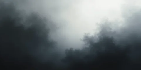 Fotobehang Grijs An ethereal abstract of light filtering through a dramatic, foggy night in the woods  © alien