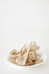 Fresh oyster mushrooms displayed on white plate for cookbook recipe