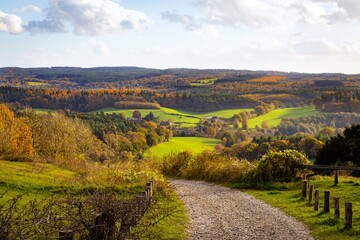 Obraz premium landscape of Surrey Hills, England