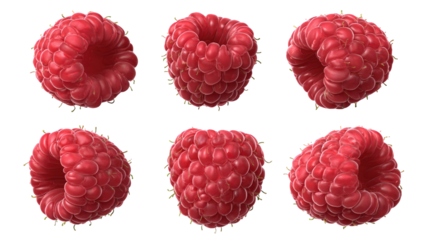 Multiple Ripe Red Raspberries Isolated on Transparent Background
