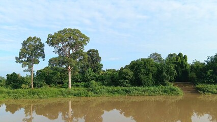 Beautiful Nature View for Designing Background