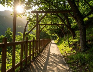 Sunny path through a wooded valley