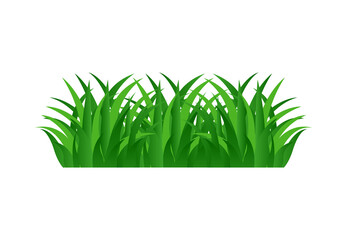 Fresh Green Grass Vector Illustration