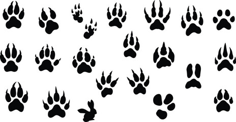 Collection of animal paw prints including wolf, bear, dog, rabbit silhouette, wildlife tracks, nature footprints, animal tracks, wild animal paws.