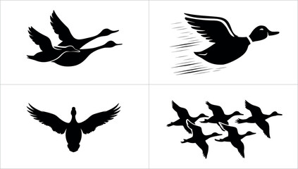 Four different silhouettes of ducks flying in various formations isolated on white background