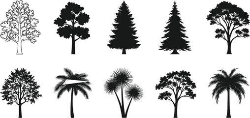 Collection of tree silhouettes including oak, pine, palm, tropical, and deciduous trees, perfect for nature, landscape, and botanical design.