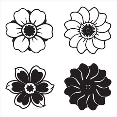 A Delicate and Sophisticated Anemone, a Fragile and Striking-center Windflower with Papery Petals, a Minimalist and Elegant Bloom Symbolizing a New Beginning