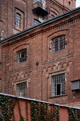 An ivy-covered brick wall with large industrial windows reflecting a sense of history and nature intertwined, set against a background of historical industrial buildings in Łódź