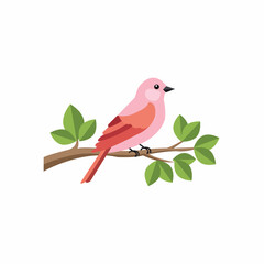 bird,pink,branch modern flat vector illustration for spring nature design vector graphic for garden decoration