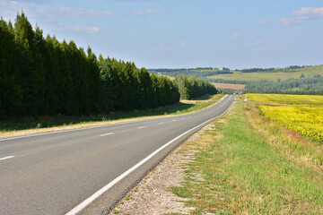 Open Road Through sunflower Fields and Forests Under a Bright Sky