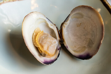 close-up of the boiled surf clam on the dish
