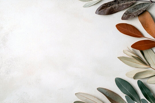 Dry brown and green leaves on light textured stone background with copy space on the left