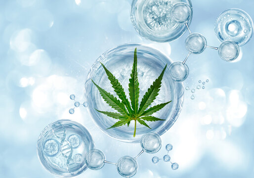 cannabis molecule ,essential cbd oil 