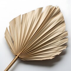 Close-up view of a dried palm leaf with a fan-like shape, showing intricate textures.