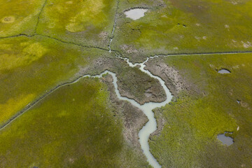 Narrow channels meander through a beautiful salt marsh on Cape Cod, Massachusetts. These natural carbon sinks are sheltered nurseries for wildlife and act as a buffer against storms and waves.