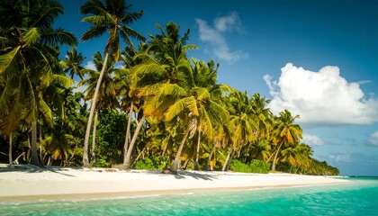 Tropical beach with palm trees