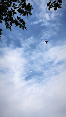 Outdoor Swimming Pool at a Modern Clubhouse with a Tiled Deck