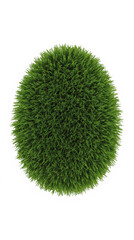 A vibrant sphere of green grass, showcasing the beauty and symmetry of nature