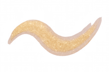 Golden glitter brush stroke waving across transparent backdrop, creating glamorous design element with shimmering, festive visual effect and sparkling texture