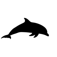 Fototapeta premium Jumping dolphin silhouette isolated on white background