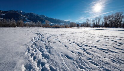 Sunlight glistens on snow covered ground with distant mountains and scattered trees