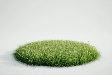 3D render of a circular grass field with some plants on a white background, in the style of a cartoon, minimalist style.