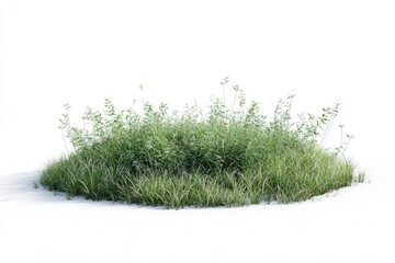 3D render of a circular grass field with some plants on a white background, in the style of a cartoon, minimalist style.