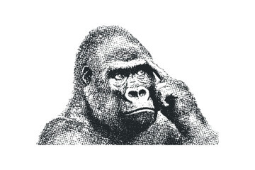 Gorilla thoughtful gesture with finger on forehead