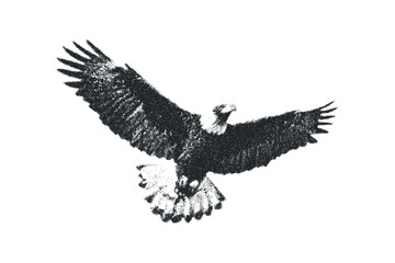 Eagle flying with outstretched wings, graphic style, isolated on white background