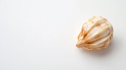Whorled seashell on a white backdrop