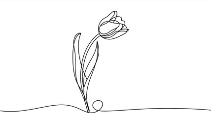 Delicate line art vector illustration of a single tulip flower stylized sketch silhouette vector illustration white background