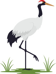 Red-crowned crane standing on one leg with grass vector illustration in natural white background
