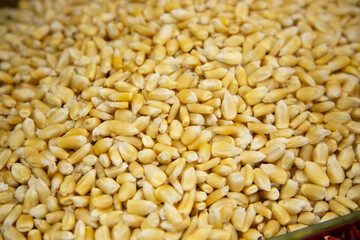 Fototapeta premium Mexican corn kernels at a stall in the San Juan market in Mexico City.