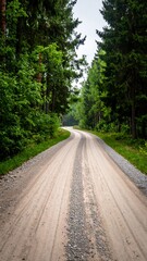 Obraz premium A winding dirt road through a lush forest