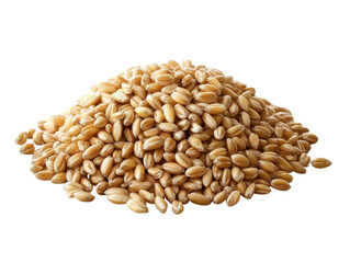 Pile of wheat grains isolated on transparent background.