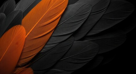 Close up macro view of vibrant orange and dark feathers detailed texture