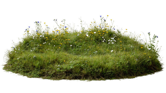 Verdant isle of wildflowers and grasses, an element for creating digital meadows or fantasy