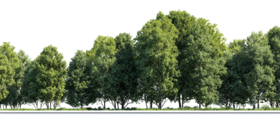 Verdant tree line on isolated transparent background offering versatile design element for