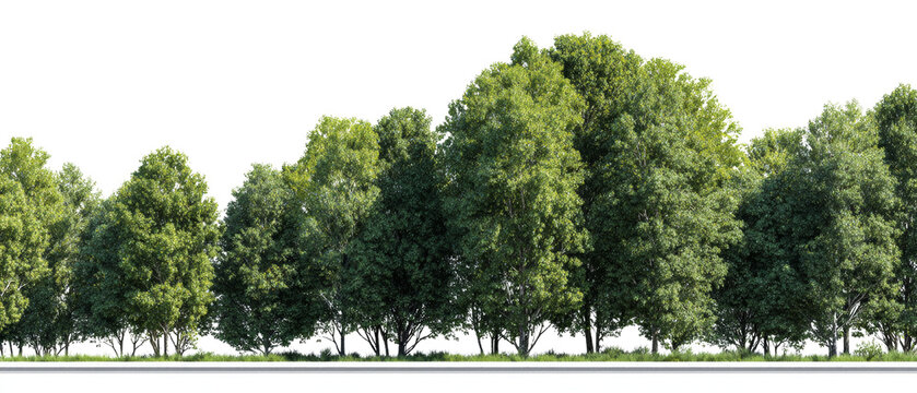 Verdant tree line on isolated transparent background offering versatile design element for