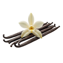 Several dark brown vanilla pods with a cream orchid flower, elegantly arranged on a transparent studio background with soft lighting, high-end culinary and perfumery ingredient concept